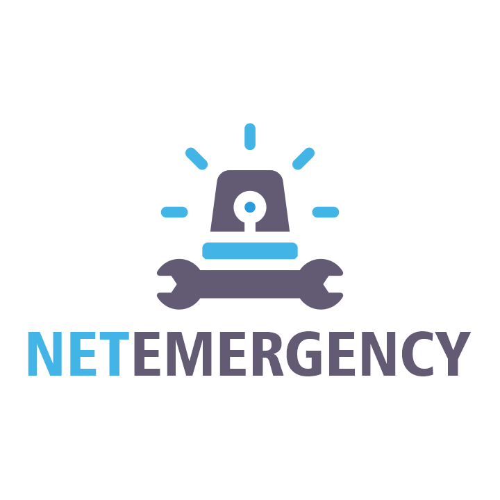 NETCARE - CMS-Schadenanalyse von NETWERFT